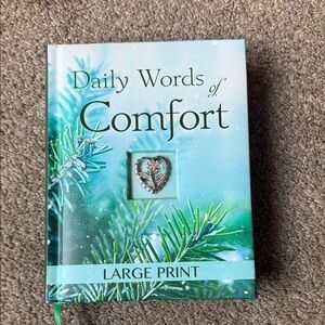 Daily Words of Comfort Large Print Book - Green and Silver